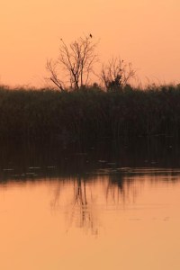 reflection 1_edited-2