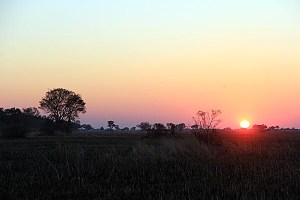 Sunset Over the Okavango Delta