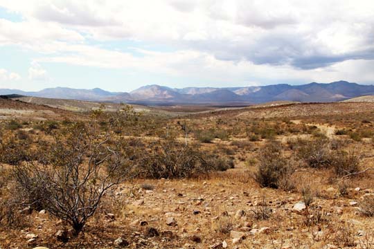 The Southern Sierra Nevada seen from the El Paso Mountain foothills