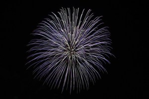 2015 Los Al Fireworks - 021