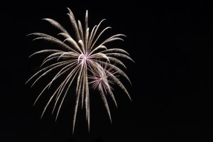 2015 Los Al Fireworks - 023